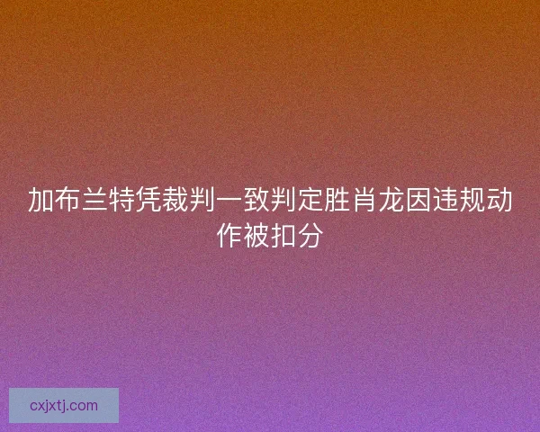 加布兰特凭裁判一致判定胜肖龙因违规动作被扣分