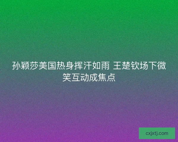 孙颖莎美国热身挥汗如雨 王楚钦场下微笑互动成焦点