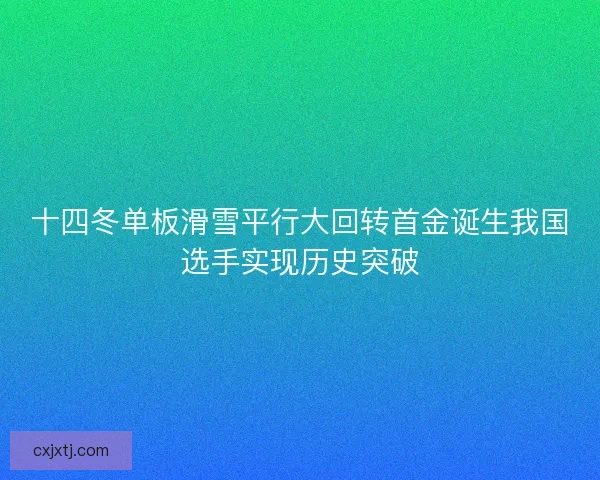 十四冬单板滑雪平行大回转首金诞生我国选手实现历史突破